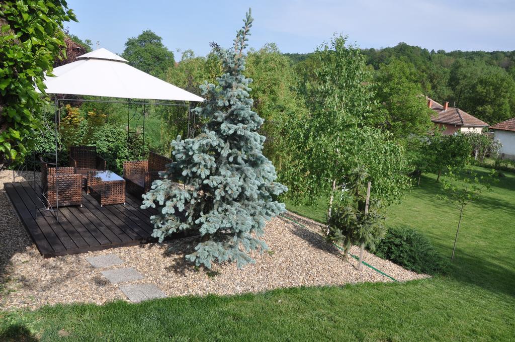 Guesthouse Djuric Negotin Exterior foto