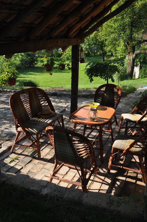 Guesthouse Djuric Negotin Exterior foto