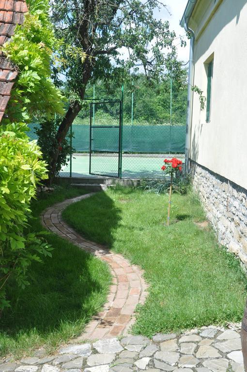 Guesthouse Djuric Negotin Exterior foto