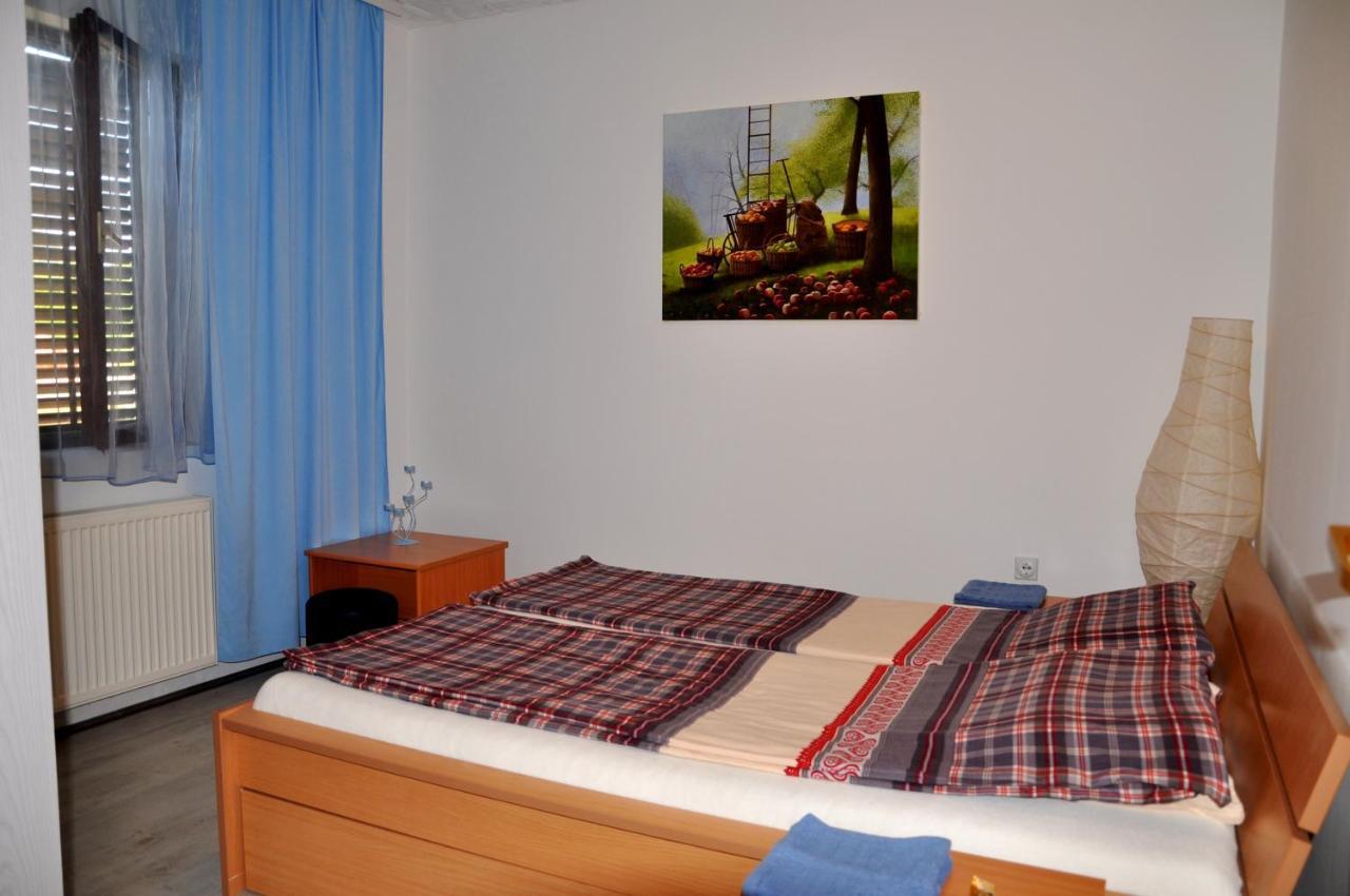 Guesthouse Djuric Negotin Exterior foto